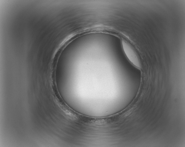 X0000063491410200601201039