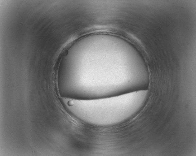 X0000063491411200601201039