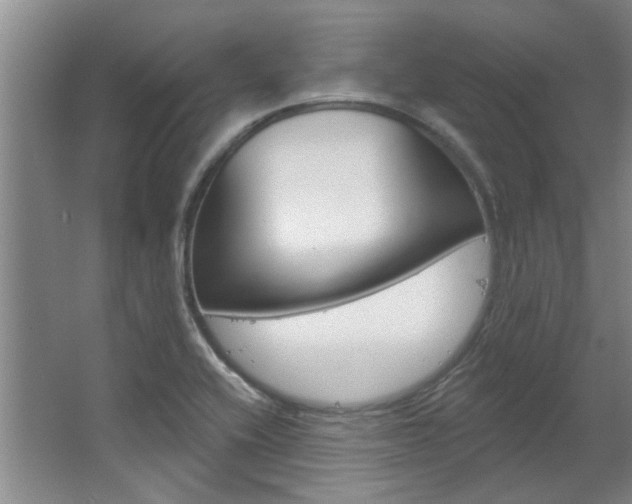 X0000063491416200601201039