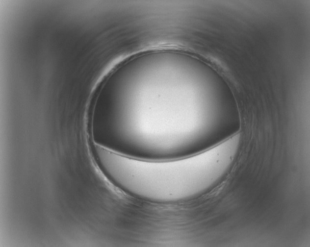 X0000063491422200601201039