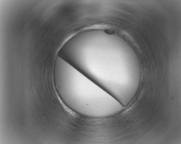 X0000063491425200601201039