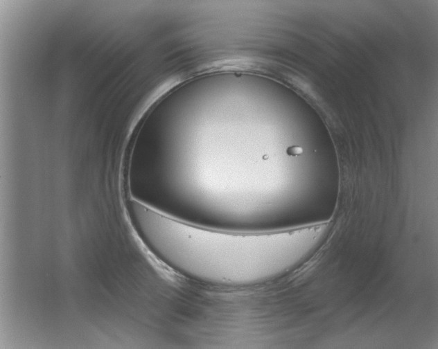 X0000063491426200601201039
