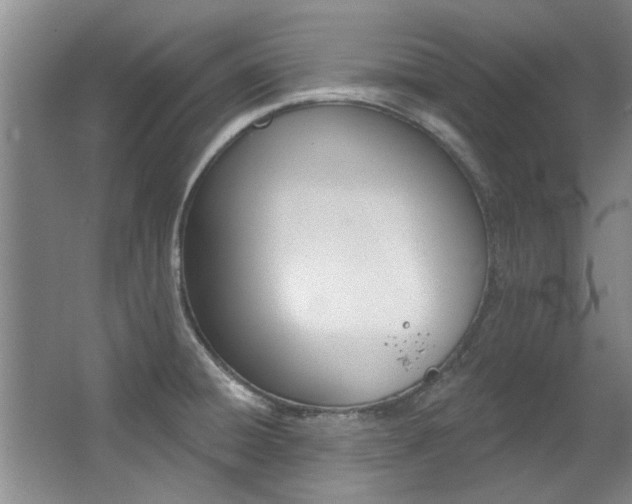 X0000063491428200601201039