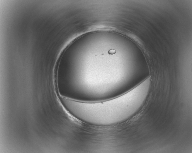 X0000063491430200601201039