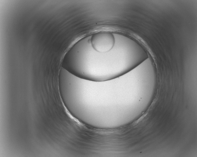 X0000063491433200601201039