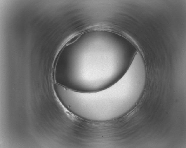 X0000063491434200601201039