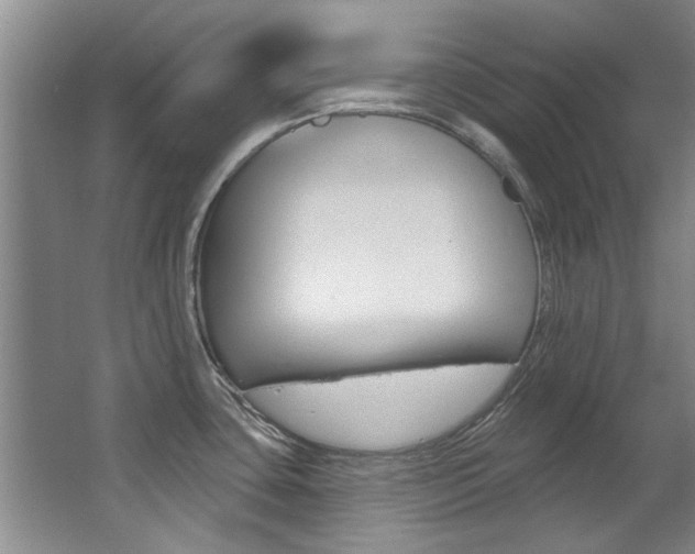 X0000063491435200601201039