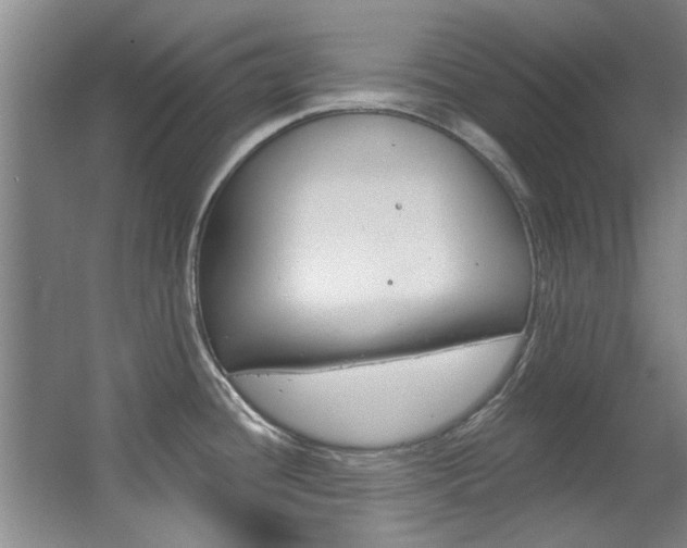 X0000063491436200601201039