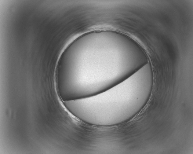 X0000063491440200601201039