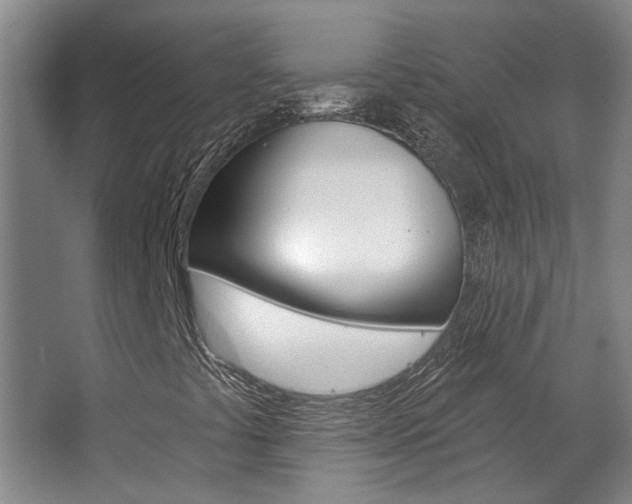 X0000063491441200601201039