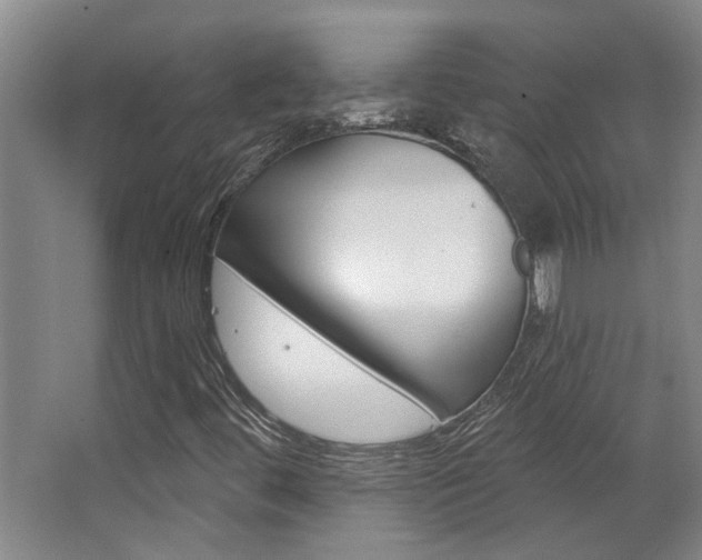 X0000063491444200601201038