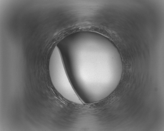 X0000063491445200601201038