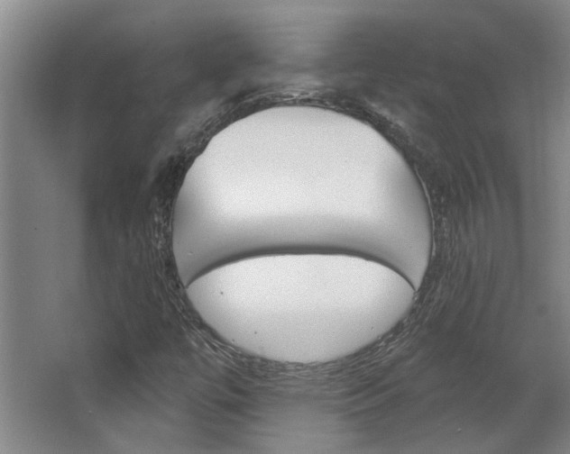 X0000063491447200601201038