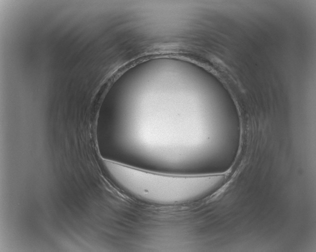 X0000063491449200601201038