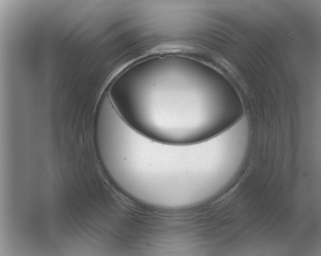 X0000063491465200601201038