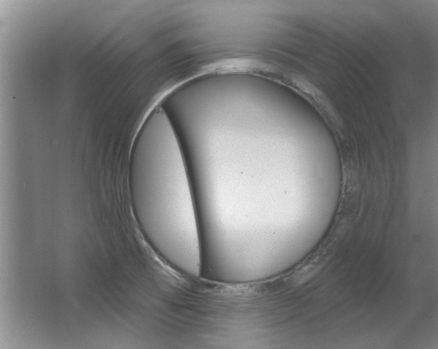 X0000063491473200601201038