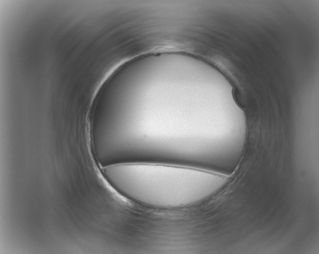 X0000063491476200601201038