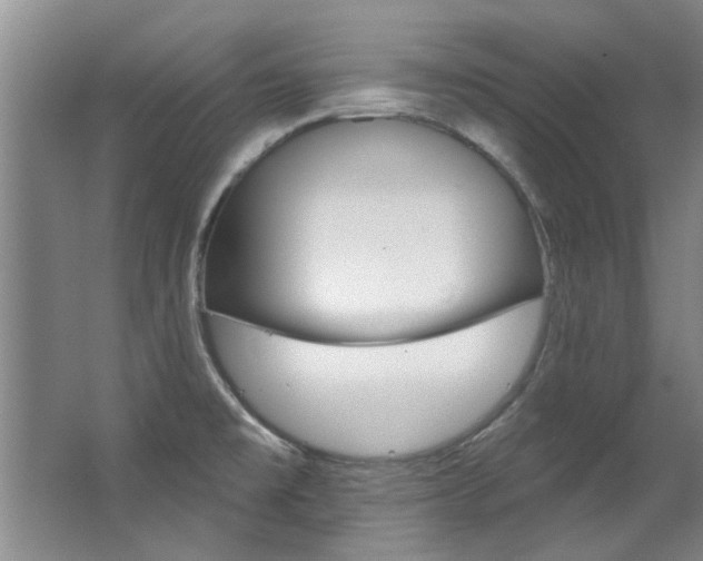 X0000063491477200601201038