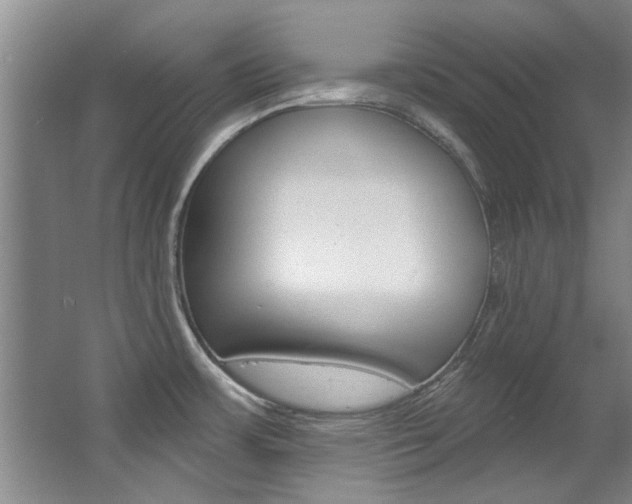 X0000063491483200601201038