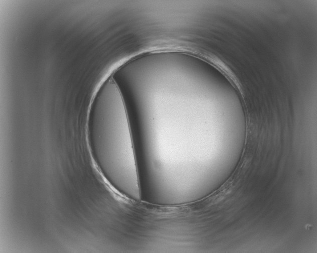 X0000063491485200601201038