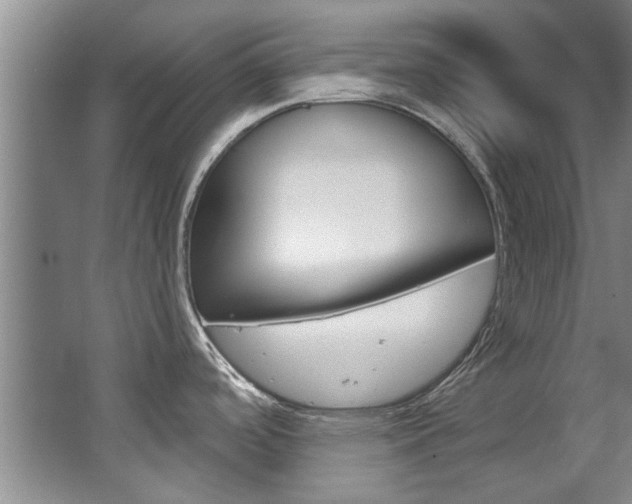 X0000063491488200601201038