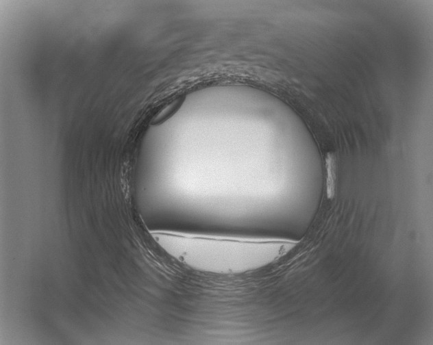 X0000063491491200601201037