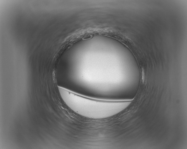 X0000063491492200601201037