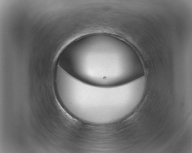 X0000063491500200601201037