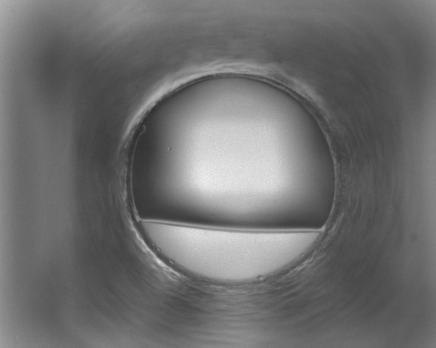 X0000063491504200601201037