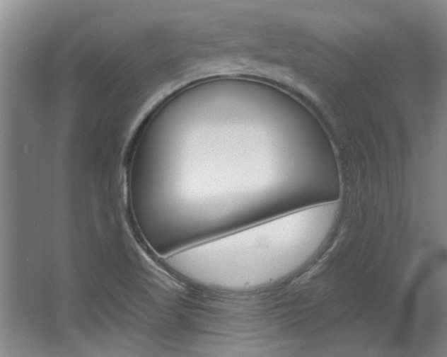 X0000063491509200601201037
