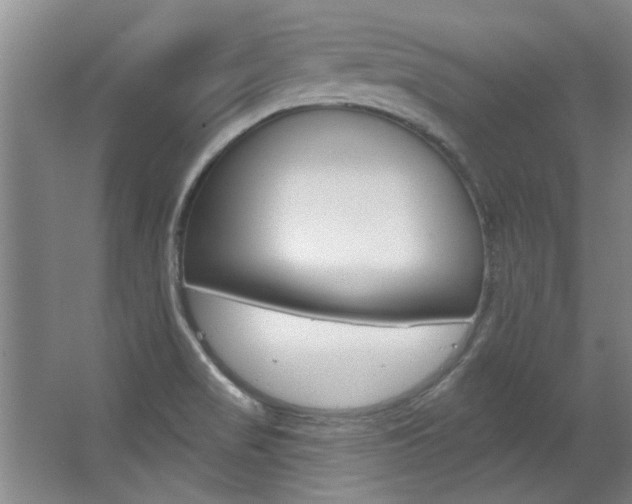 X0000063491517200601201037