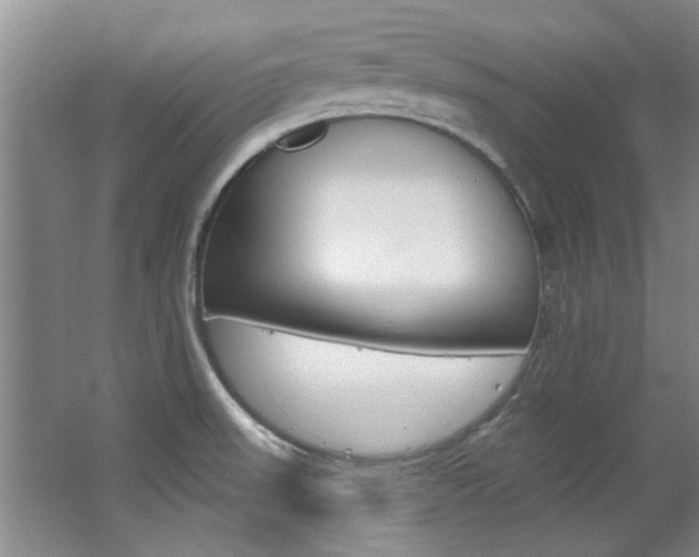 X0000063491523200601201037