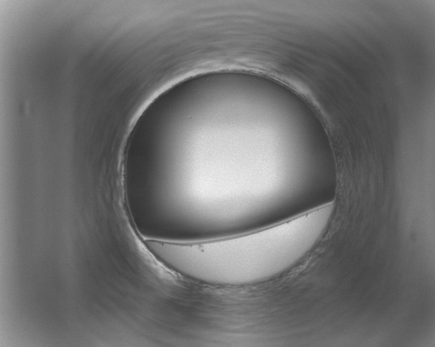 X0000063491524200601201038