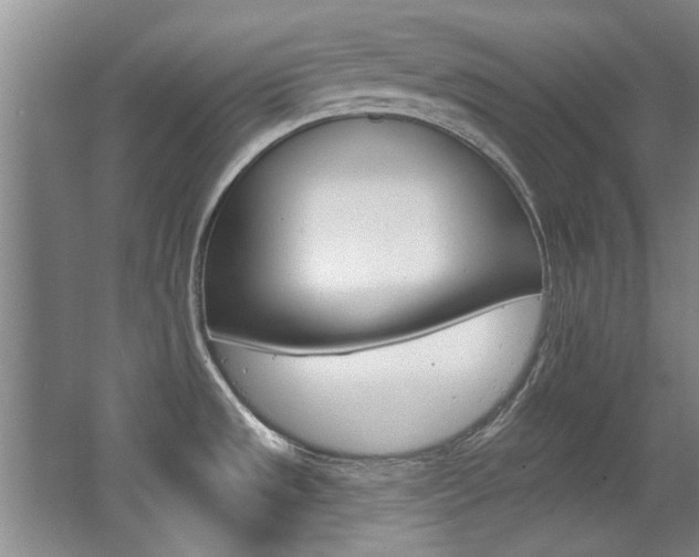 X0000063491533200601201038