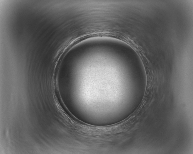 X0000063490002200601201321