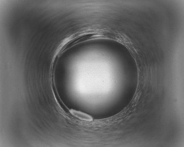X0000063490003200601201321