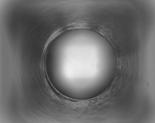 X0000063490004200601201321