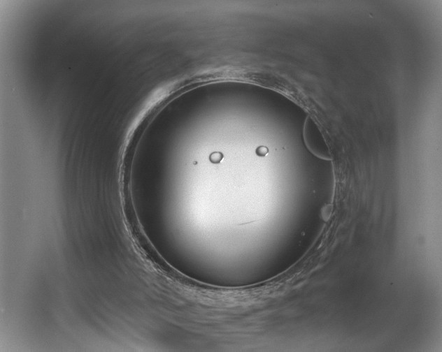 X0000063490006200601201321