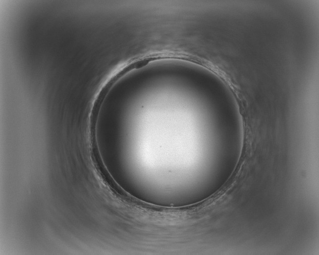 X0000063490008200601201321