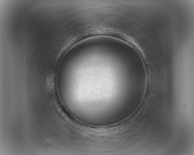 X0000063490010200601201321