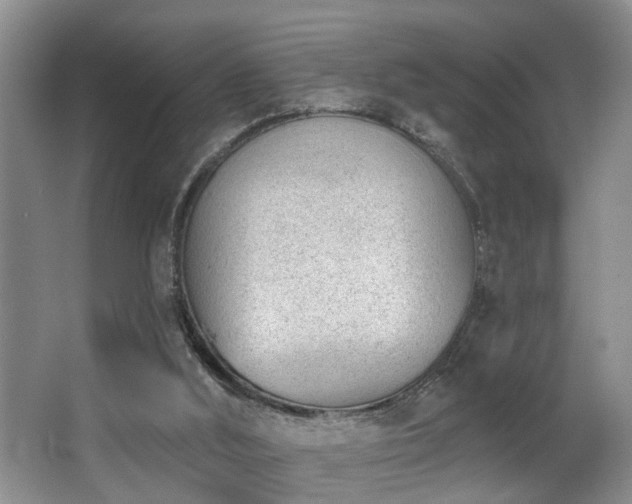 X0000063490012200601201321