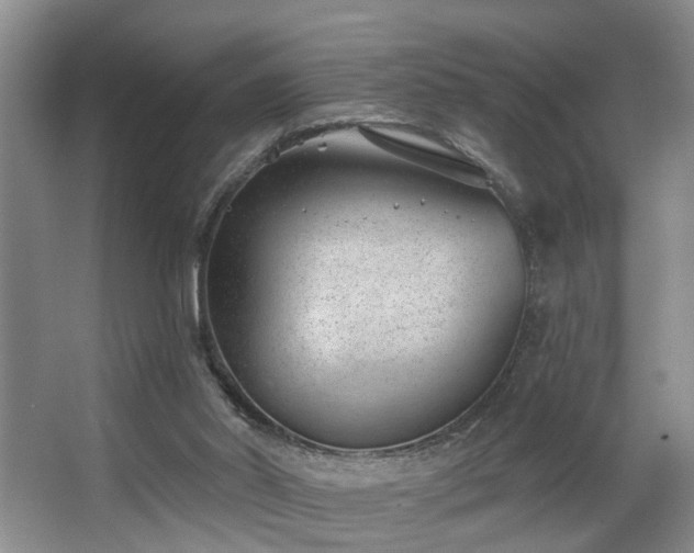 X0000063490014200601201321
