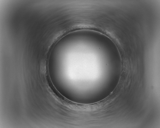 X0000063490015200601201321