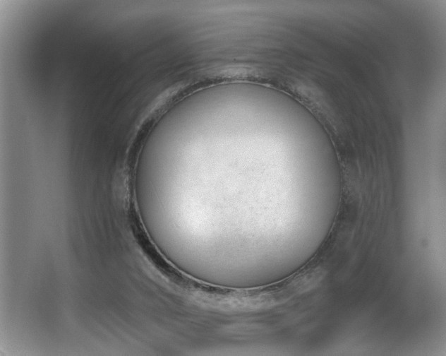 X0000063490016200601201321