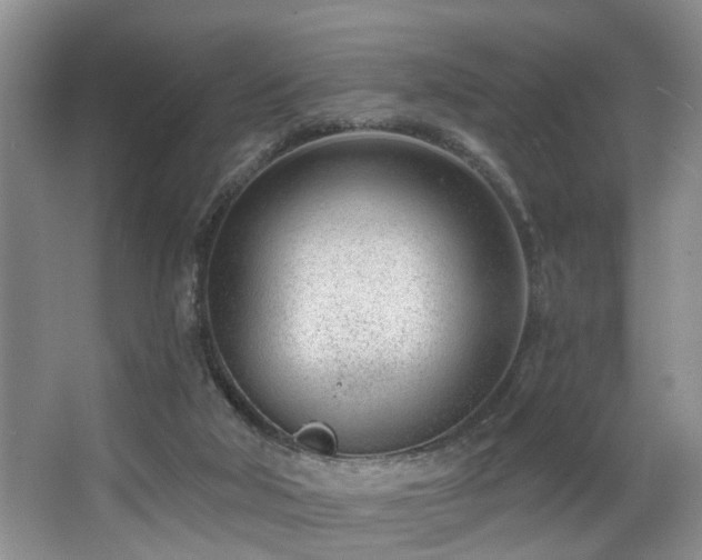 X0000063490018200601201321