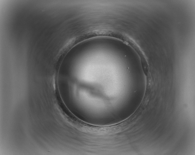 X0000063490019200601201321