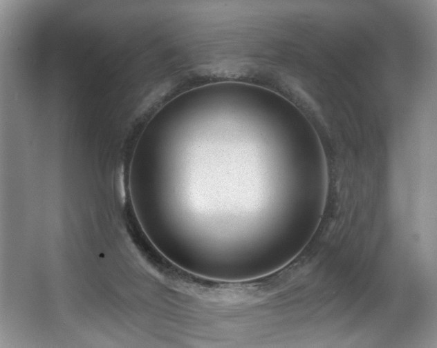 X0000063490020200601201321
