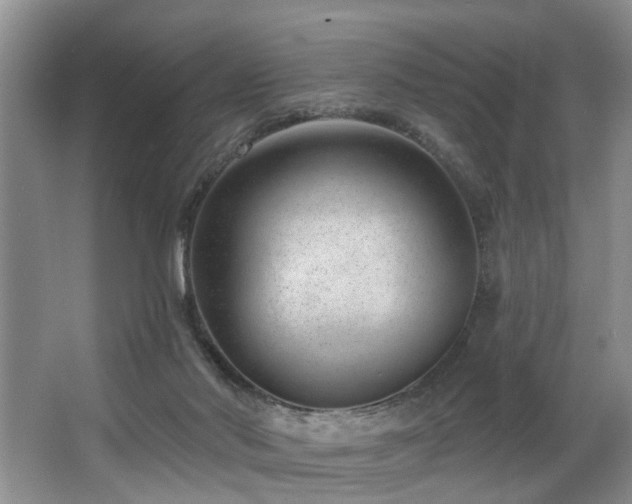 X0000063490022200601201321