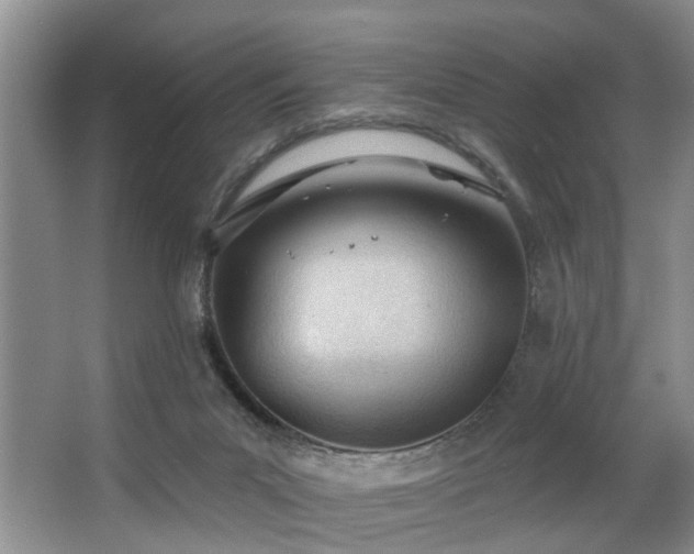 X0000063490023200601201321