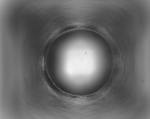 X0000063490024200601201321